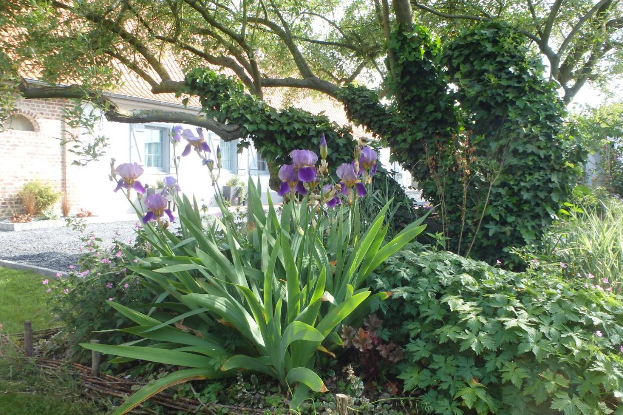 Au Reve En Somme Bed & Breakfast Hautvillers-Ouville Екстериор снимка